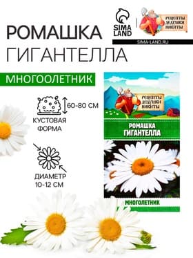 Семена Ромашка «Гигантелла», 0.01 г, «Рецепты дедушки Никиты»