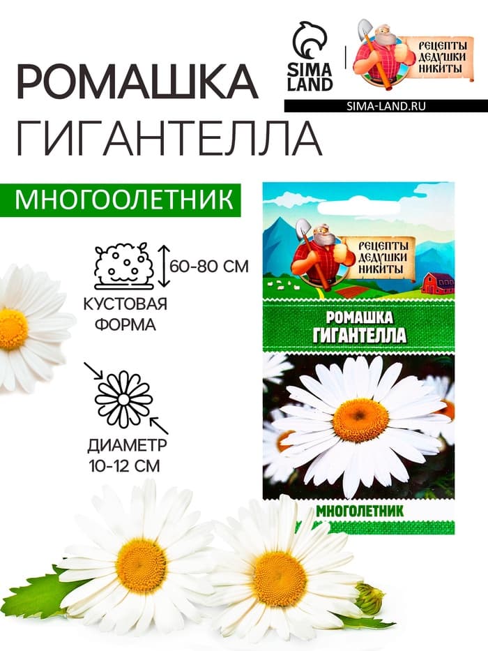 Семена Ромашка «Гигантелла», 0.01 г, «Рецепты дедушки Никиты»