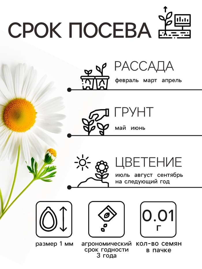 Семена Ромашка «Гигантелла», 0.01 г, «Рецепты дедушки Никиты»