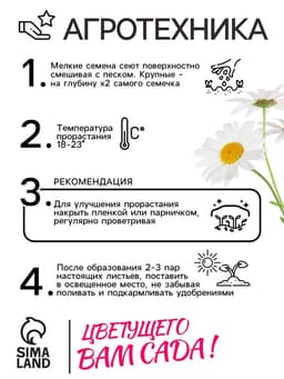 Семена Ромашка «Гигантелла», 0.01 г, «Рецепты дедушки Никиты»