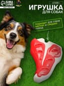 Игрушка для собак Пижон Premium «Стейк», 10.5 см, TPR + нейлон, цвет МИКС