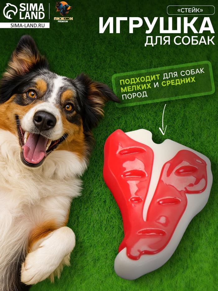 Игрушка для собак Пижон Premium «Стейк», 10.5 см, TPR + нейлон, цвет МИКС