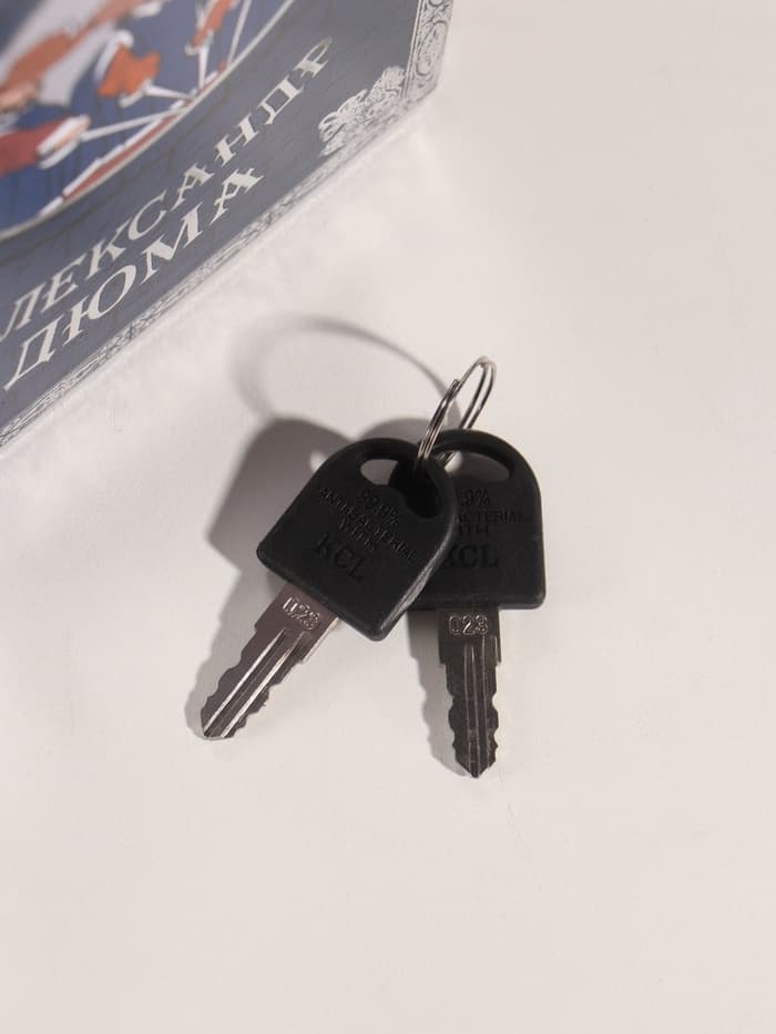 Шкатулка книга - сейф «Александр Дюма. Три мушкетёра», дерево, искусственная кожа, тиснение, 21×13×5 см