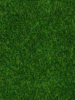 Газон искусственный, с проклейкой, ворс 3 см, 2×25 м, зелёный, Greengo