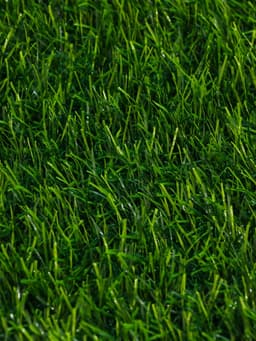 Газон искусственный, с проклейкой, ворс 3 см, 2×25 м, зелёный, Greengo