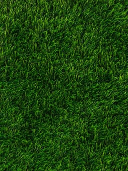 Газон искусственный, с проклейкой, ворс 5 см, 2×25 м, зелёный, Greengo