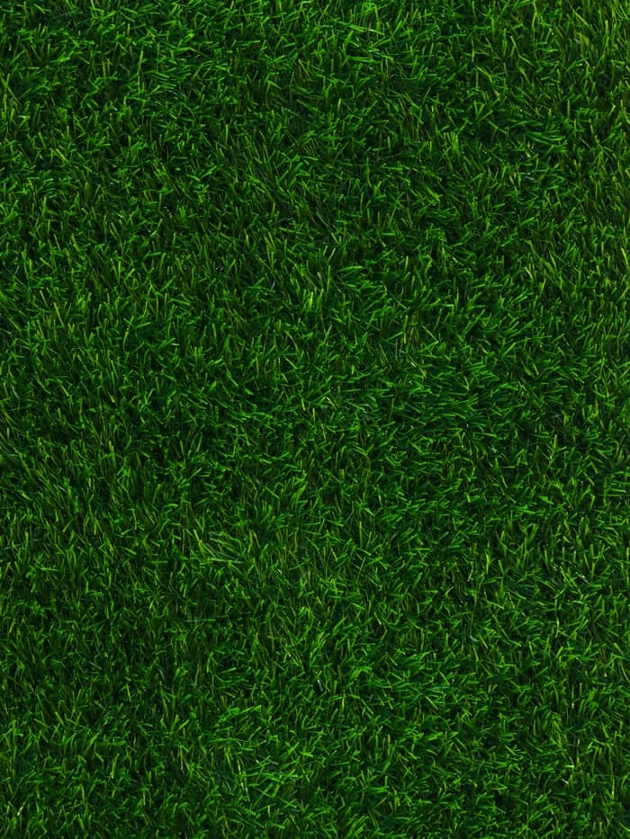 Газон искусственный, для спорта, ворс 40 мм, 2×25 м, зелёный, Greengo