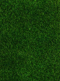 Газон искусственный, для спорта, ворс 40 мм, 2×25 м, зелёный, Greengo