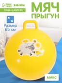 Мяч прыгун с ручкой 65 см, МИКС