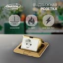 Розетка выдвижная, 16 А, одноместная, золотистая