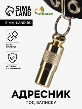 Адресник-капсула под записку, 0.9×2.75 см, фасовка 6 шт., металл, цвет МИКС