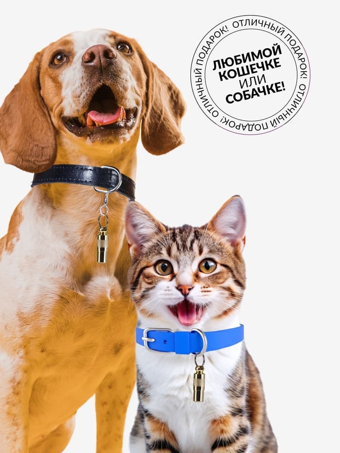 Адресник-капсула под записку, 0.9×2.75 см, фасовка 6 шт., металл, цвет МИКС