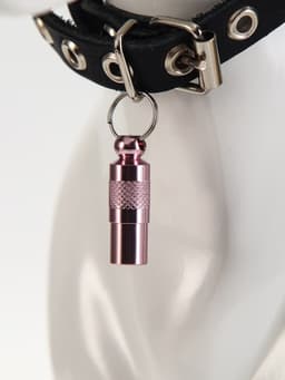 Адресник-капсула под записку, 0.9×2.75 см, фасовка 6 шт., металл, цвет МИКС