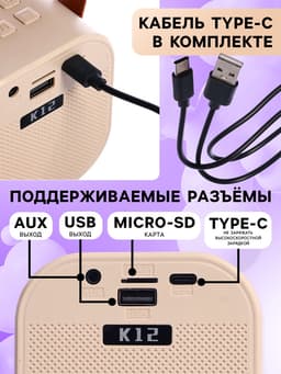 Караоке детское беспроводное ZABIAKA, 2 микрофона, bluetooth, 5 режимов подсветки, звуковые и световые эффекты, бежевое