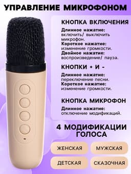 Караоке детское беспроводное ZABIAKA, 2 микрофона, bluetooth, 5 режимов подсветки, звуковые и световые эффекты, бежевое