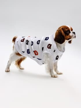 Футболка для животных «Мишка», M (ДС 30, ОГ 42 см), белая