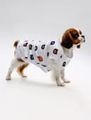 Футболка для животных «Мишка», M (ДС 30, ОГ 42 см), белая