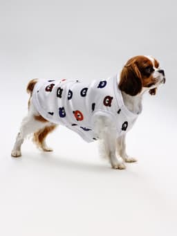 Футболка для животных «Мишка», M (ДС 30, ОГ 42 см), белая