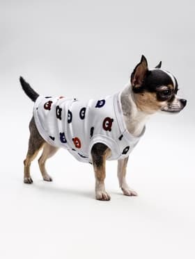 Футболка для животных «Мишка», S (ДС 25, ОГ 38 см), белая