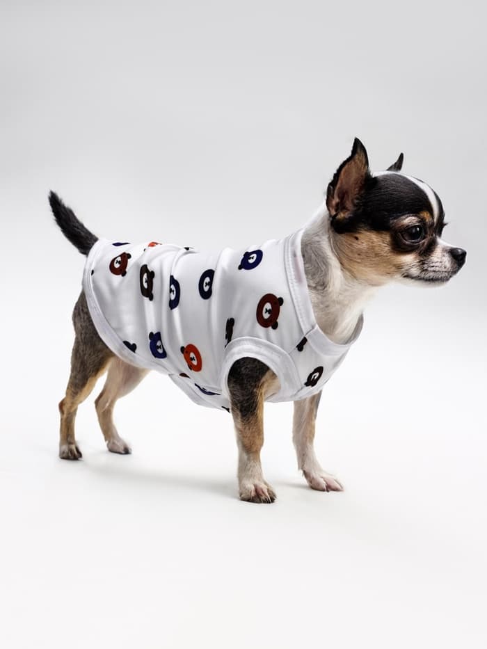 Футболка для животных «Мишка», S (ДС 25, ОГ 38 см), белая