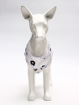 Футболка для животных «Мишка», S (ДС 25, ОГ 38 см), белая