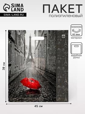 Пакет «Мой Париж», полиэтиленовый с вырубной ручкой, 38×45 см, 60 мкм