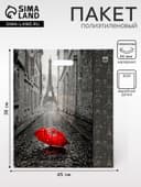 Пакет «Мой Париж», полиэтиленовый с вырубной ручкой, 38×45 см, 60 мкм