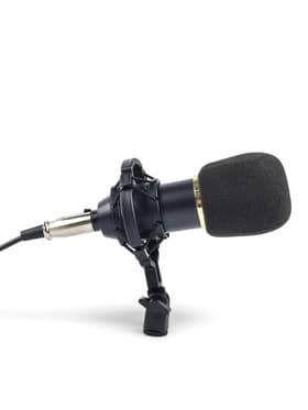 Микрофон конденсаторный Music Life золотой: кабель, ветрозащита, стойка