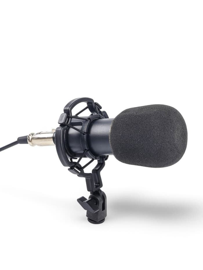 Микрофон конденсаторный Music Life золотой: кабель, ветрозащита, стойка