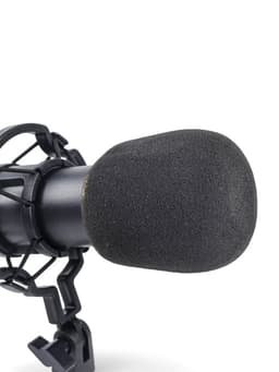 Микрофон конденсаторный Music Life золотой: кабель, ветрозащита, стойка