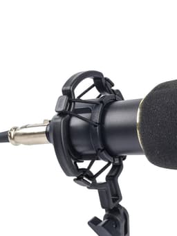 Микрофон конденсаторный Music Life золотой: кабель, ветрозащита, стойка