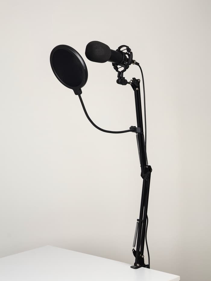 Микрофон конденсаторный Music Life черный: кабель, ветрозащита, стойка