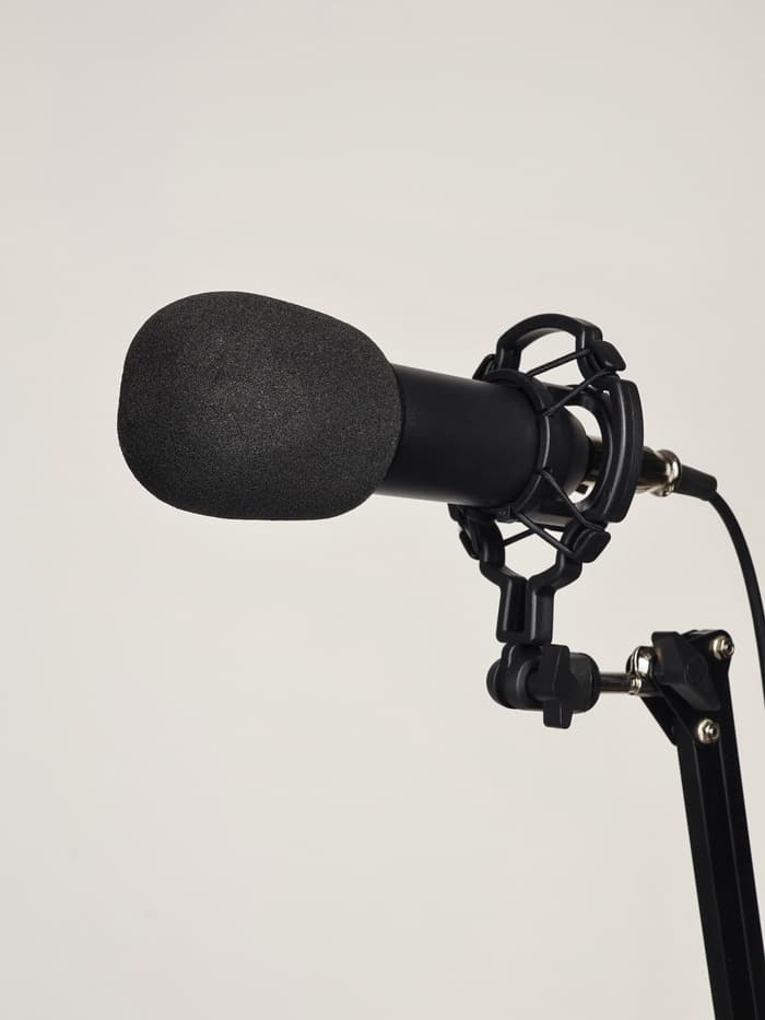 Микрофон конденсаторный Music Life черный: кабель, ветрозащита, стойка