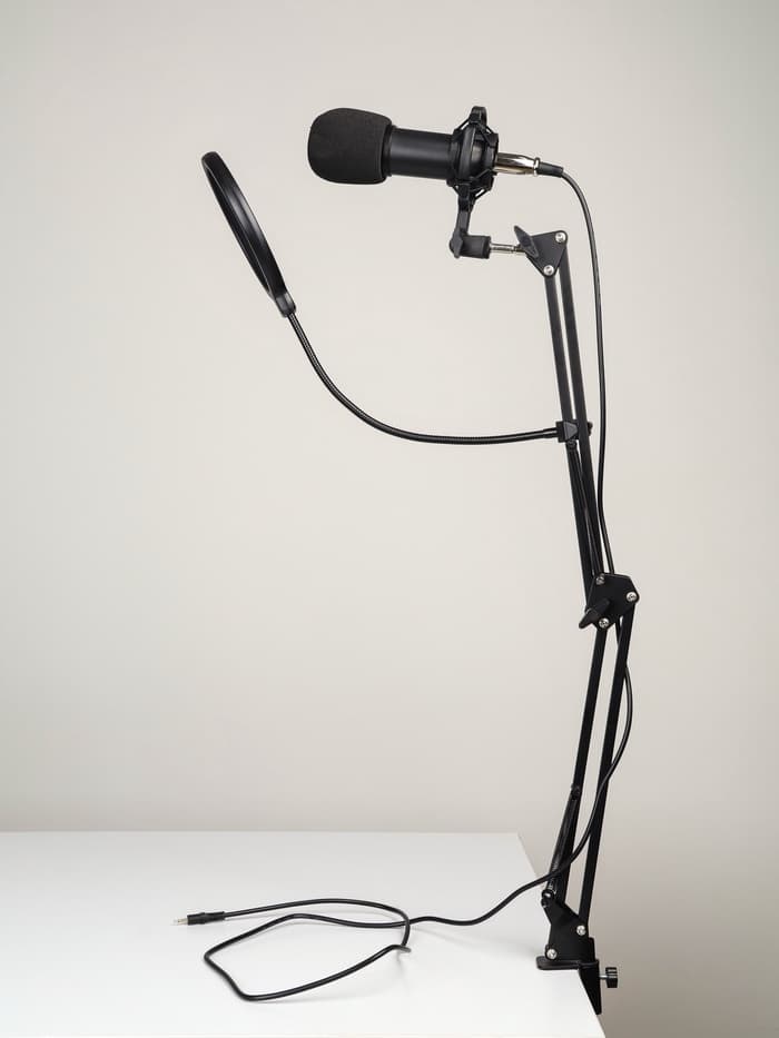 Микрофон конденсаторный Music Life черный: кабель, ветрозащита, стойка