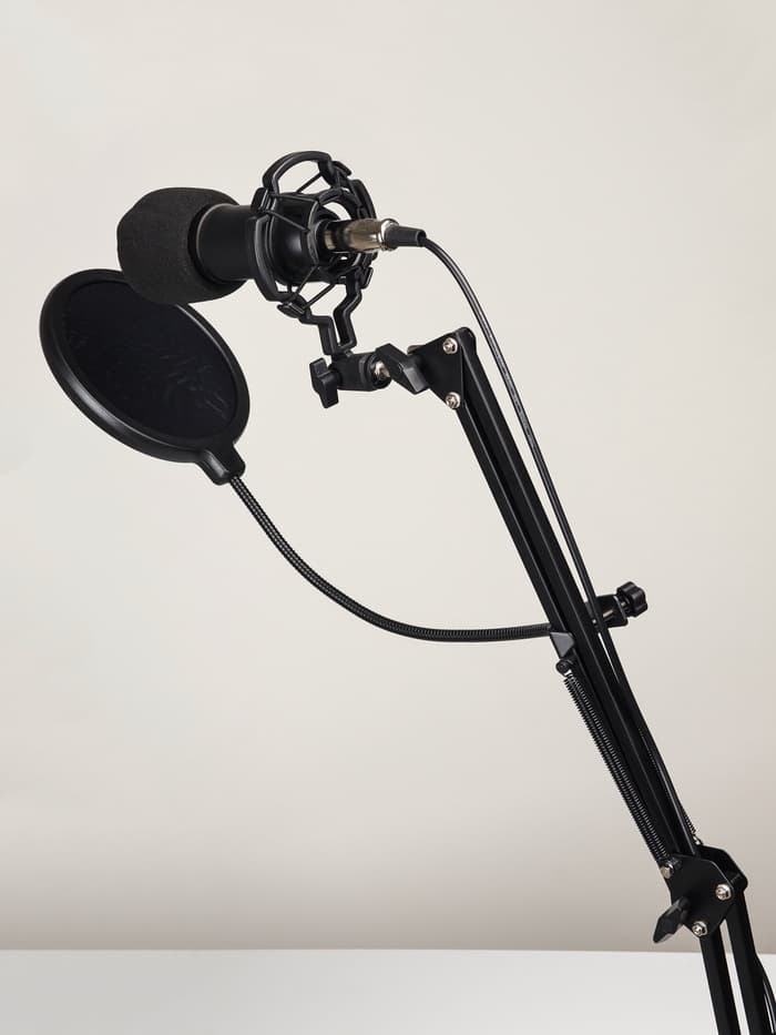 Микрофон конденсаторный Music Life черный: кабель, ветрозащита, стойка