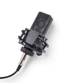 Микрофон конденсаторный Music Life LGT240: стойка + кабель в комплекте