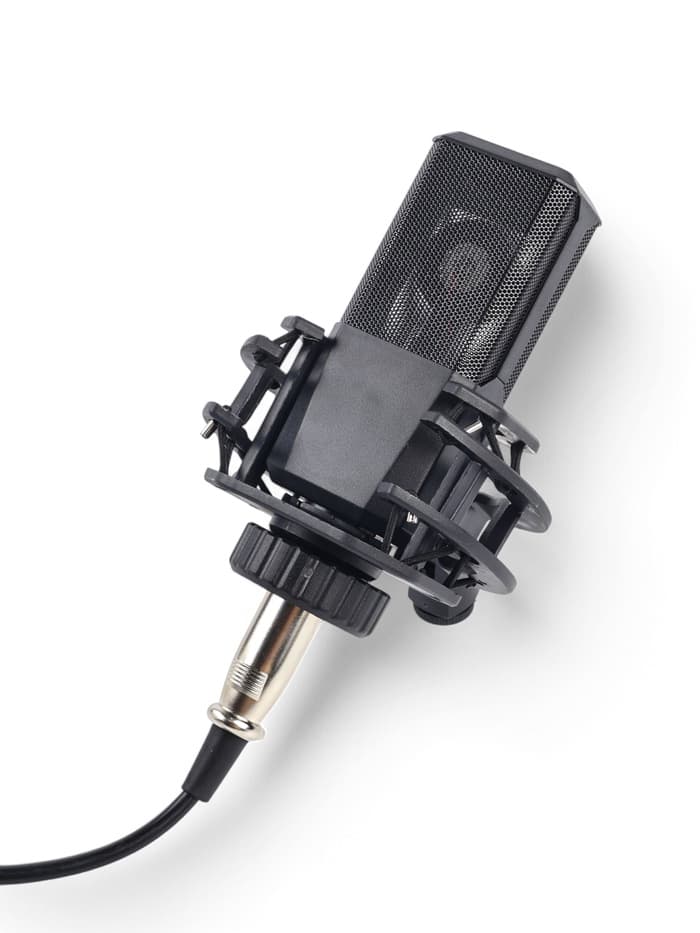 Микрофон конденсаторный Music Life LGT240: стойка + кабель в комплекте