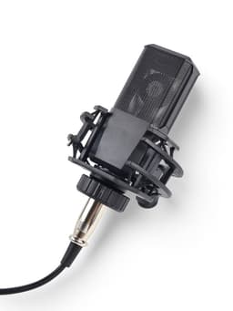 Микрофон конденсаторный Music Life LGT240: стойка + кабель в комплекте