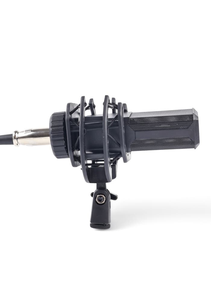 Микрофон конденсаторный Music Life LGT240: стойка + кабель в комплекте