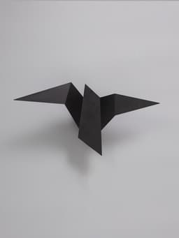 Светильник потолочный BayerLux Crow, 1×10 Вт, GU10, черный, 35×18×10 см