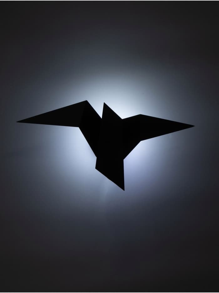 Светильник потолочный BayerLux Crow, 1×10 Вт, GU10, черный, 35×18×10 см