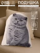 Подушка декоративная «Этель» Fluffy kitten, 40×33 см, велюр