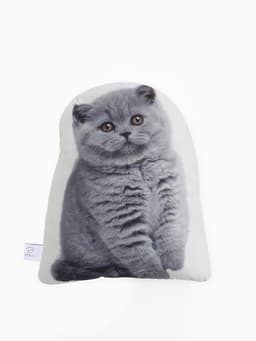 Подушка декоративная «Этель» Fluffy kitten, 40×33 см, велюр