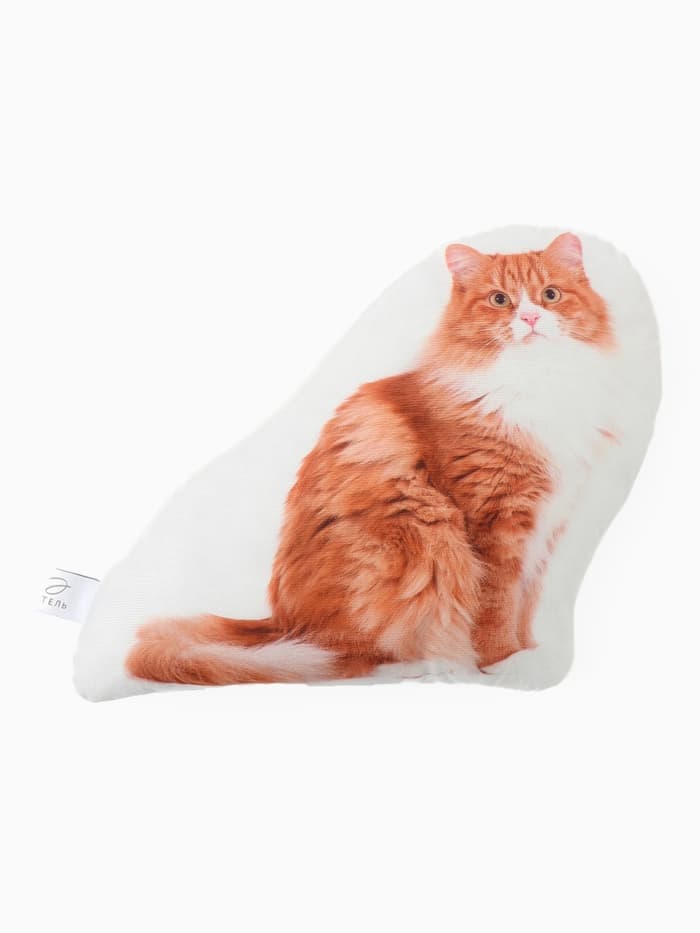 Подушка декоративная «Этель» Ginger cat, 40×33 см, велюр
