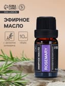 Эфирное масло «Розмарин», 10 мл, в тубусе