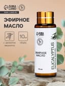 Эфирное масло «Эвкалипт», 10 мл, с пипеткой