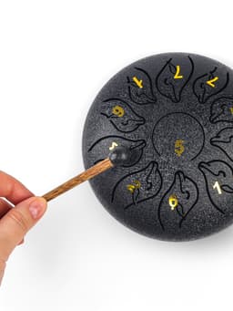 Глюкофон, дельфин черный, 11 лепестков, 18×18×11 см