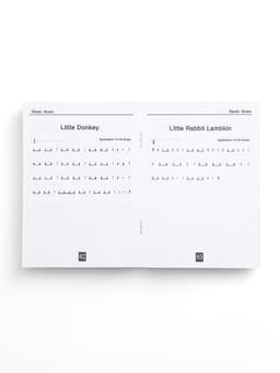 Глюкофон, цветок белый, 11 лепестков, 18×18×11 см