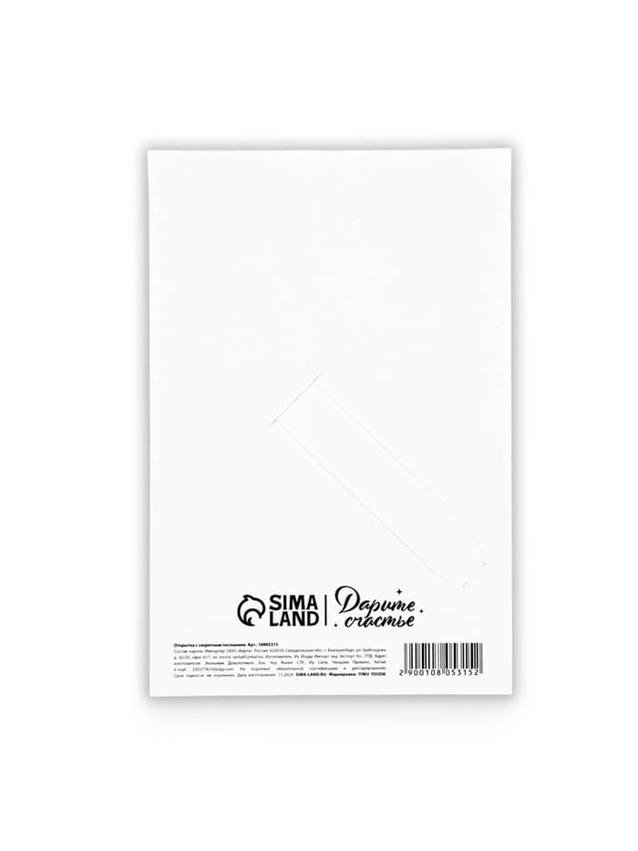 Открытка с секретным посланием «С Днём Рождения», 10×15 см