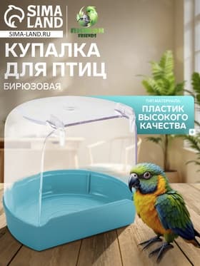 Купалка для птиц, 12×9×11 см, внешняя, бирюзовая